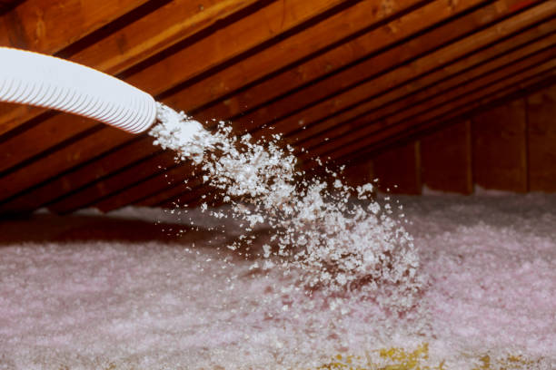 Best Attic Insulation Installation  in Hinckley, MN