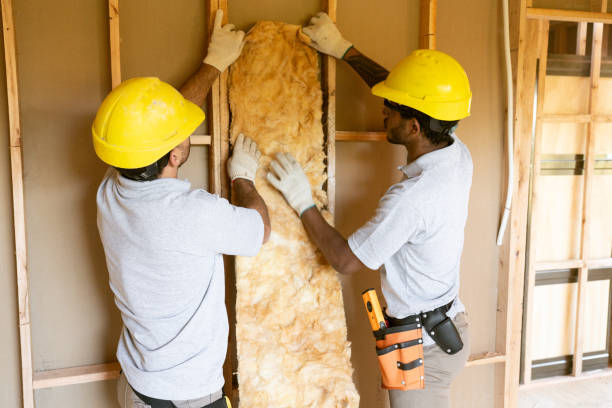 Best Local Insulation Services  in Hinckley, MN